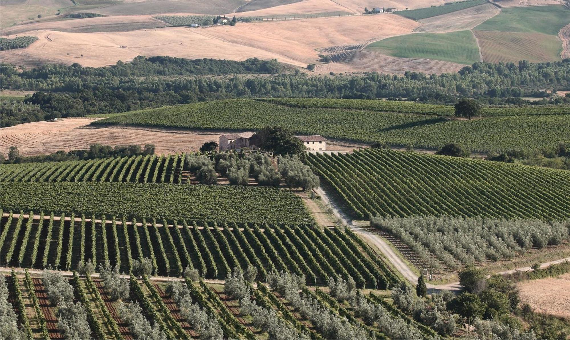 Agriturismo Il Poggione 몬탈치노 외부 사진
